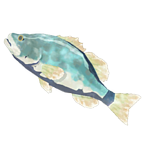 File:BotW Frozen Hearty Bass Icon.png