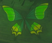 File:TotK Thunderwing Butterfly Model.png