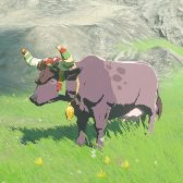 File:TotK Hyrule Compendium Hateno Cow.png