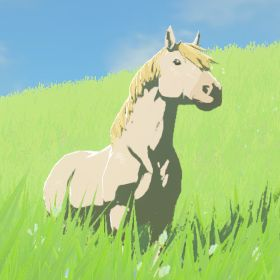 File:BotW Hyrule Compendium White Horse.png