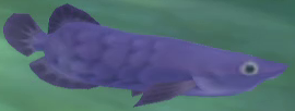 Fish model from Skyward Sword HD