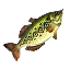 Hyrule Bass icon from Hyrule Warriors Legends