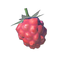 File:HWAoC Wildberry Icon.png