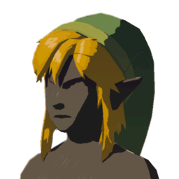 TotK Cap of the Wild Icon.png