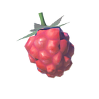 File:BotW Wildberry Icon.png