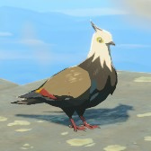 File:TotK Hyrule Compendium Accented Pigeon.png