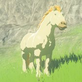 File:TotK Hyrule Compendium Giant White Stallion.png