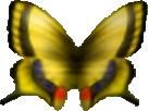 OoT Butterfly Model.png