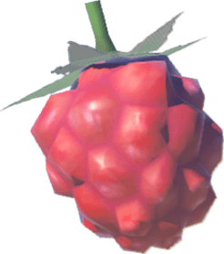 Wildberry render from Breath of the Wild