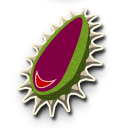 TWWHD Boko Baba Seed Icon.png
