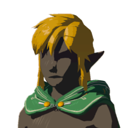 File:TotK Hylian Hood Open Green Icon.png