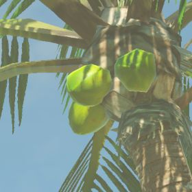 File:BotW Hyrule Compendium Palm Fruit.png