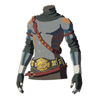 File:HWAoC Radiant Shirt Gray Icon.png