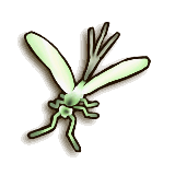File:TPHD Male Dayfly Icon.png