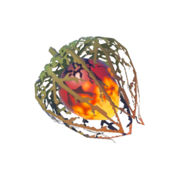 TotK Fire Fruit Icon.png