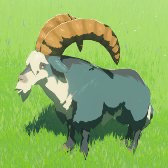 File:TotK Hyrule Compendium Mountain Goat.png