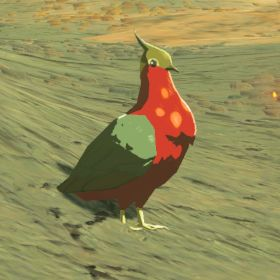 File:BotW Hyrule Compendium Hotfeather Pigeon.png