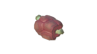 TotK Marbled Rock Roast Icon.png