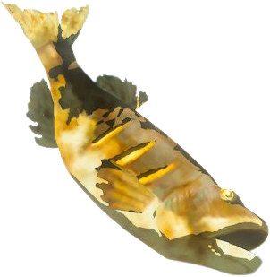 Roasted Bass model from Tears of the Kingdom