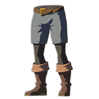 File:HWAoC Trousers of the Wild Gray Icon.png