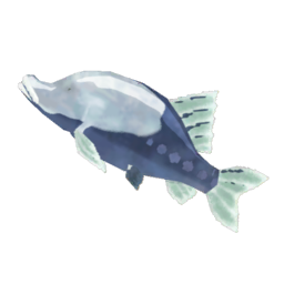 TotK Frozen Cave Fish Icon.png