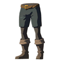 HWAoC Trousers of the Wild Black Icon.png