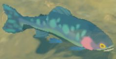 File:BotW Chillfin Trout Model.png