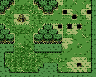 File:Lost Woods Summer.png