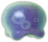 SS Jelly Blob Render.png