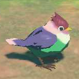 TotK Rainbow Sparrow Model.png