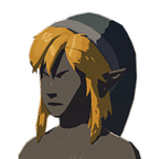 File:BotW Cap of the Wild Black Icon.png