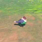 File:TotK Hyrule Compendium Rainbow Sparrow.png