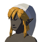 File:BotW Cap of the Wild White Icon.png