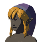 File:BotW Cap of the Wild Purple Icon.png