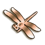 TPHD Female Dragonfly Icon.png
