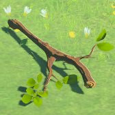 File:TotK Hyrule Compendium Tree Branch.png
