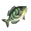 Greengill icon from Hyrule Warriors Legends