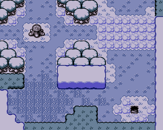 File:Lost Woods Winter.png