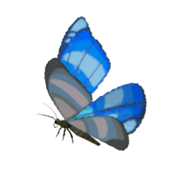 TotK Winterwing Butterfly Icon.png