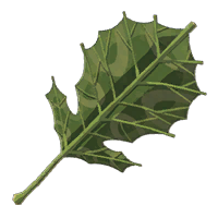 File:HWAoC Korok Leaf Icon.png
