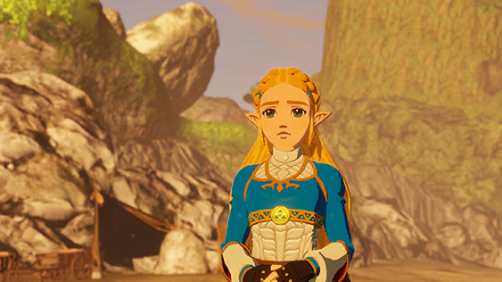 File:HWAoC Zelda's Wishes.png