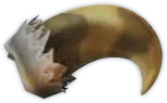 File:SS Monster Claw Render.png