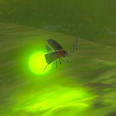 File:TotK Hyrule Compendium Sunset Firefly.png