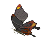 File:BotW Smotherwing Butterfly Icon.png