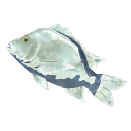 TotK Frozen Porgy Icon.png