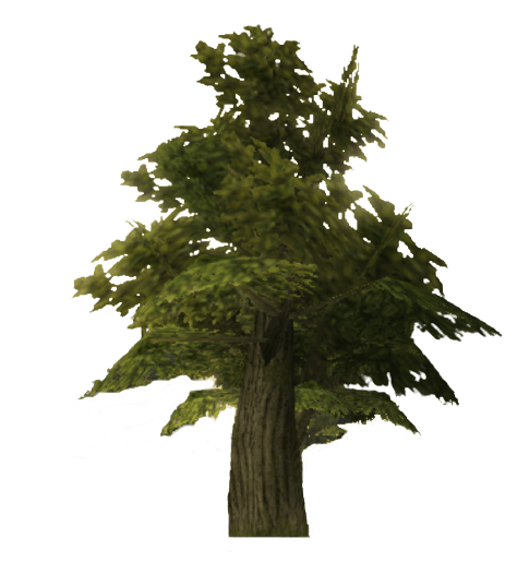 File:TP Tree Model.png