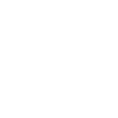 File:BotW Shield Icon.png