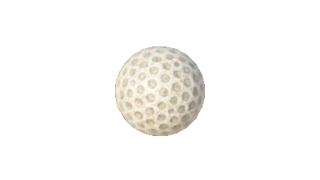 File:TotK Ball Icon.png
