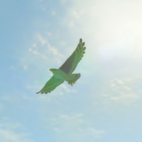 File:BotW Hyrule Compendium Islander Hawk.png