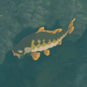 File:BotW Hyrule Compendium Mighty Carp.png